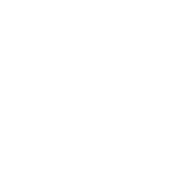 ui.image_alt.suggestions.icon